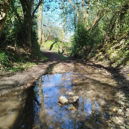 Apartman 50 M2 Vue *