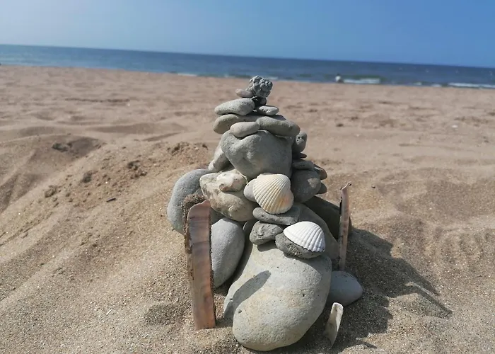 アパート 50 M2 Vue