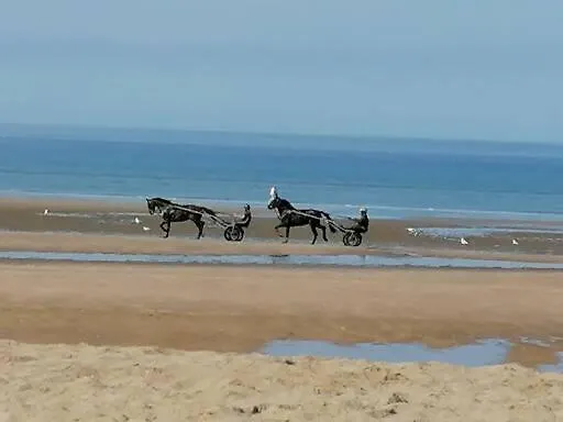 50 M2 Vue アパート