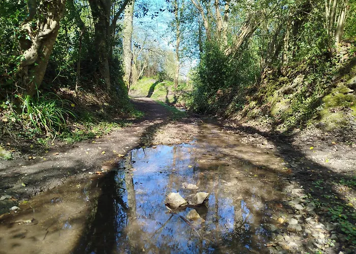 アパート 50 M2 Vue *